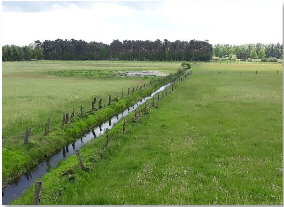 Settrup Eine andere WordPressSite.